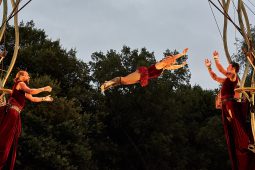 Cie Les P'tits Bras, Spectacle
