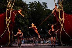 Cie Les P'tits Bras, Spectacle