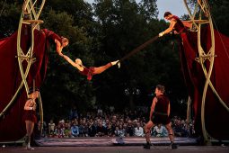 Cie Les P'tits Bras, Spectacle