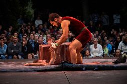 Cie Les P'tits Bras, Spectacle