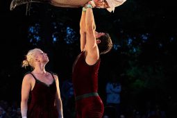 Cie Les P'tits Bras, Spectacle