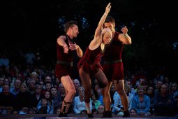 Cie Les P'tits Bras, Spectacle