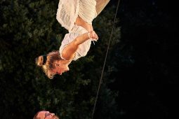 Cie Les P'tits Bras, Spectacle