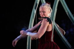 Cie Les P'tits Bras, Spectacle