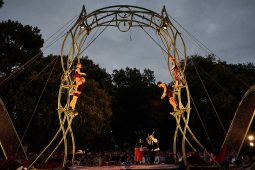 Cie Les P'tits Bras, Spectacle