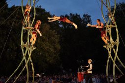 Cie Les P'tits Bras, Spectacle