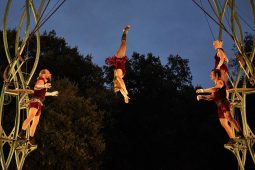 Cie Les P'tits Bras, Spectacle