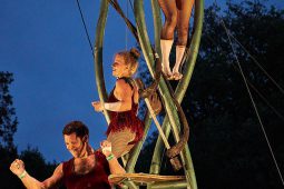 Cie Les P'tits Bras, Spectacle