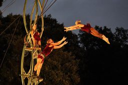 Cie Les P'tits Bras, Spectacle