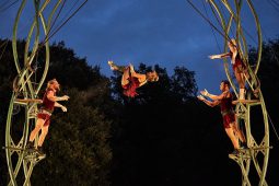 Cie Les P'tits Bras, Spectacle