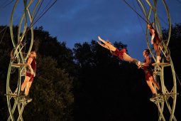 Cie Les P'tits Bras, Spectacle