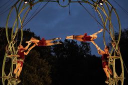 Cie Les P'tits Bras, Spectacle