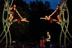 Cie Les P'tits Bras, Spectacle