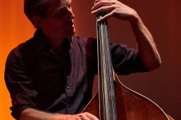 Concert, Marian Badoï Trio