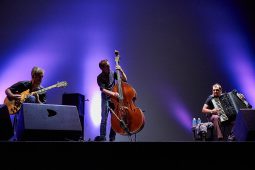 Concert, Marian Badoï Trio