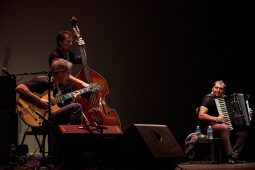 Concert, Marian Badoï Trio