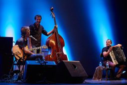 Concert, Marian Badoï Trio