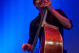 Concert, Marian Badoï Trio