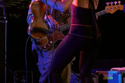 Otis Taylor Band, Concert