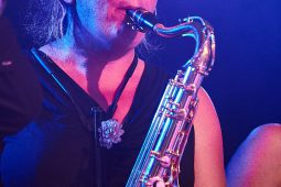 Concert, Pan Vaca
