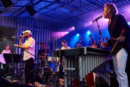 Concert, Pan Vaca