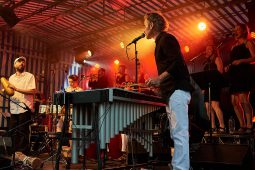 Concert, Pan Vaca