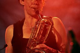 Concert, Pan Vaca
