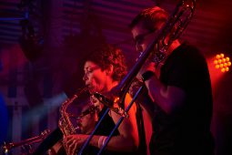 Concert, Pan Vaca