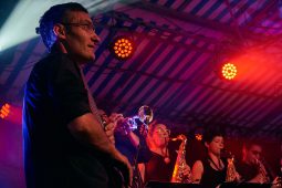 Concert, Pan Vaca