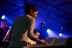 Concert, Pan Vaca