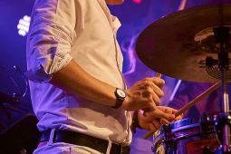 Concert, Pan Vaca