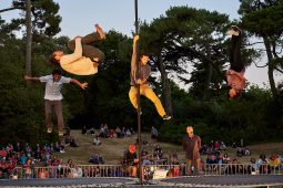 Cie Kiai, Spectacle