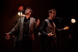 Concert, Spectacle, Les Frères Brothers