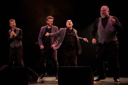 Concert, Spectacle, Les Frères Brothers