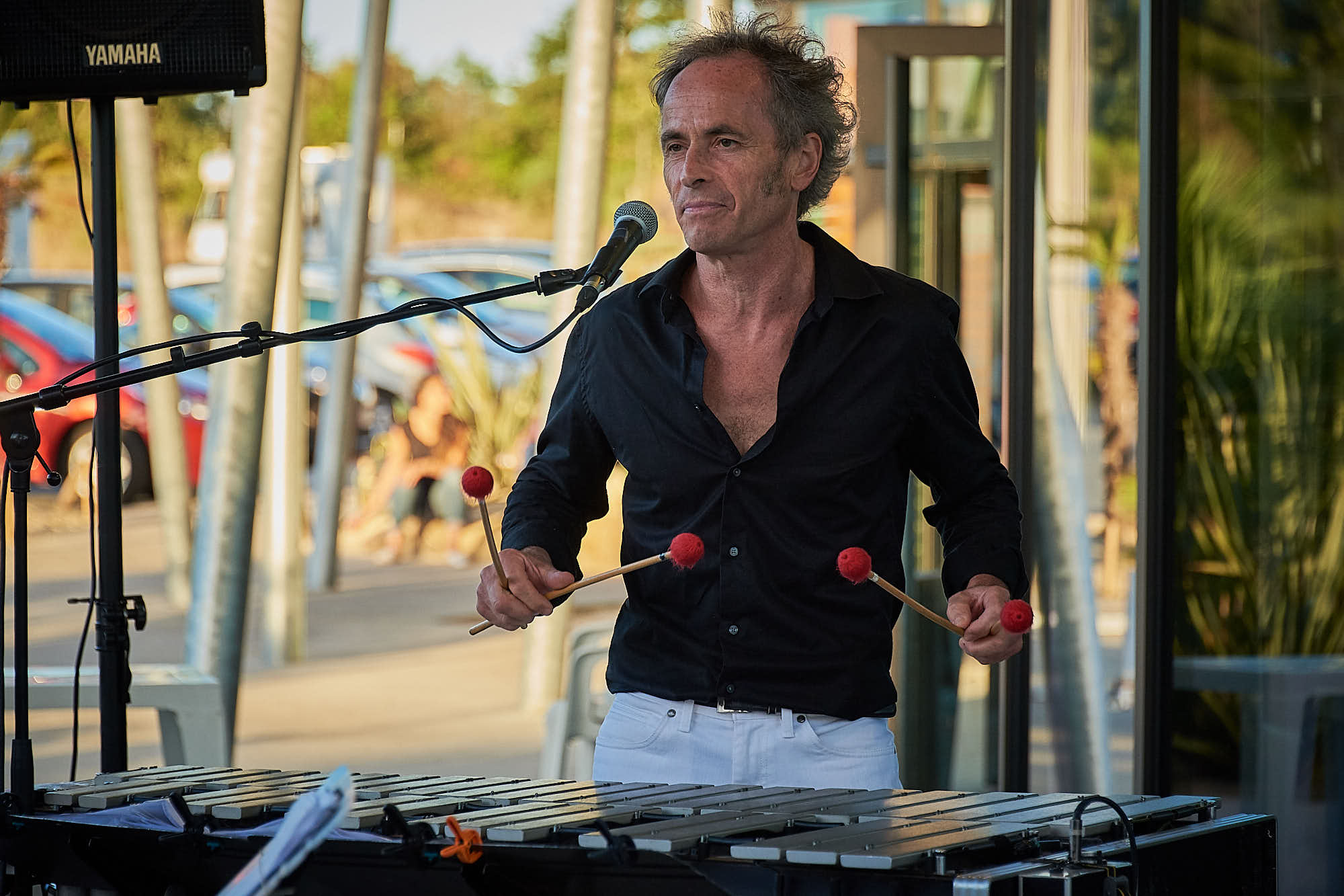 Pan Vaca – Salsa festival