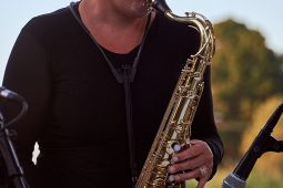 Concert, Pan Vaca