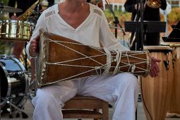 Concert, Pan Vaca