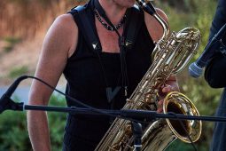 Concert, Pan Vaca