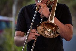 Concert, Pan Vaca