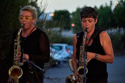 Concert, Pan Vaca