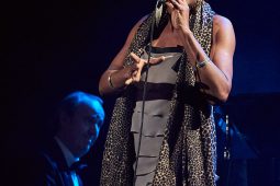 Concert, Cotton Club
