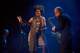 Concert, Cotton Club