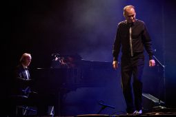 Concert, Cotton Club