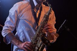 Didaf'ta, Concert