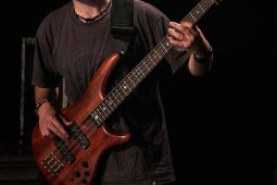 Didaf'ta, Concert