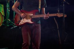 Morning Wood, Concert