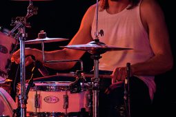 Morning Wood, Concert