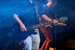 Morning Wood, Concert