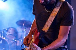 Morning Wood, Concert