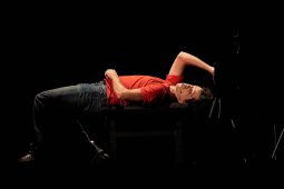Concert, Pierre-Yves Plat, Spectacle